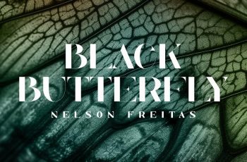 Nelson Freitas – Black Butterfly