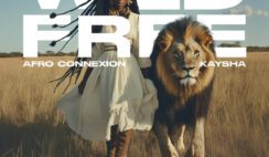 Afro Connexion – Wild & Free Feat  Kaysha