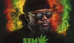 C4 Pedro – Sem Querer